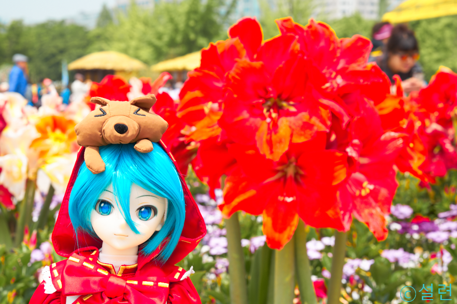 2017 고양 국제 꽃박람회_3.png
