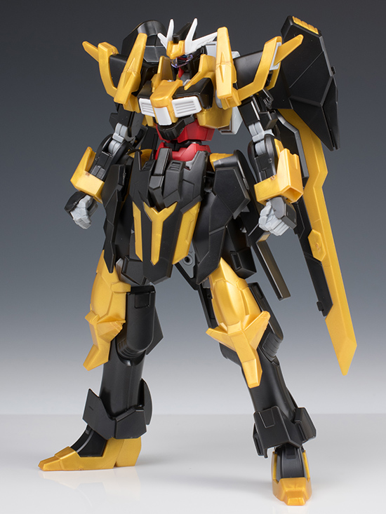 hgbf_schwarzritter005.jpg