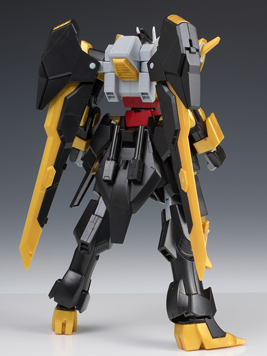 hgbf_schwarzritter007.jpg