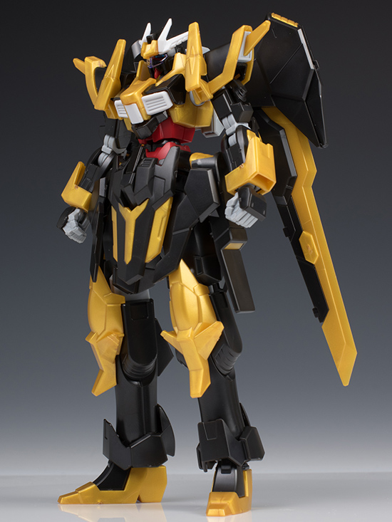 hgbf_schwarzritter010.jpg