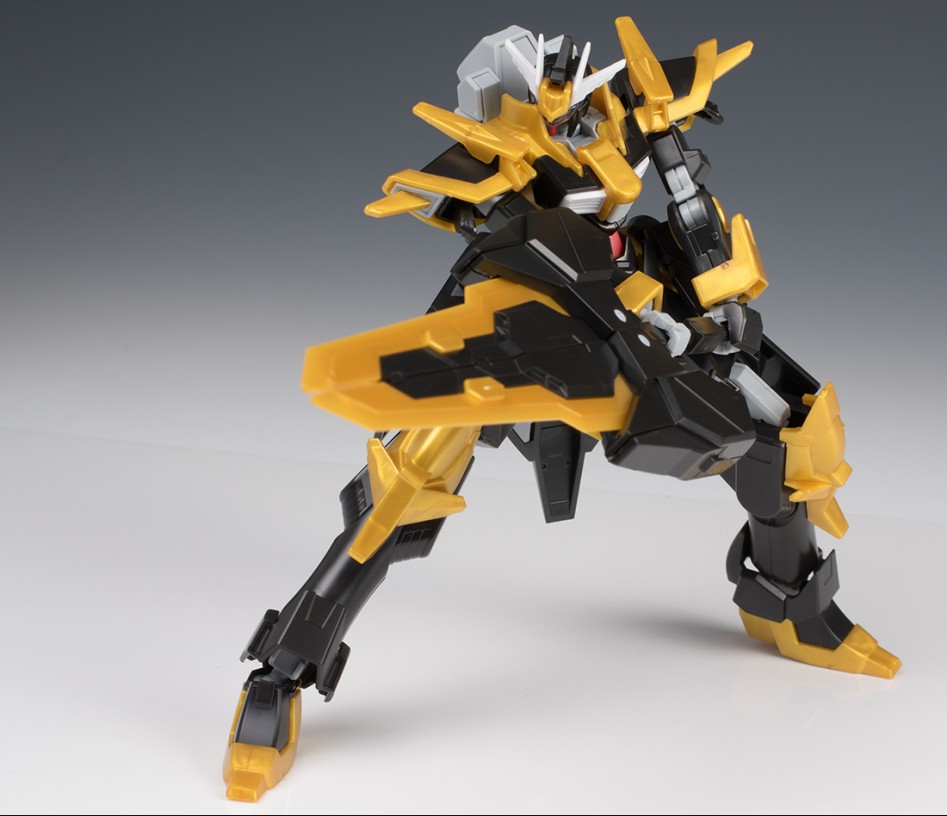 hgbf_schwarzritter058.jpg