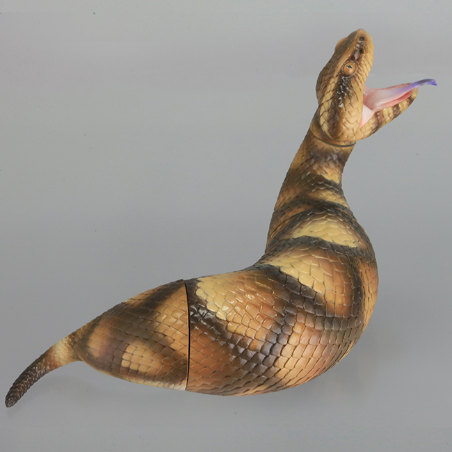 tsuchinoko_13.jpg