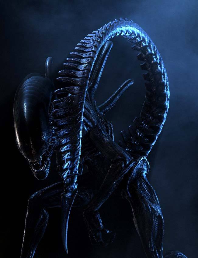 에일리언 지금까지 영화에 나온거 정리해봤음.(브금)_29.jpg