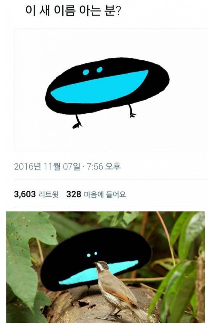 진짜 있는 새_1.jpg
