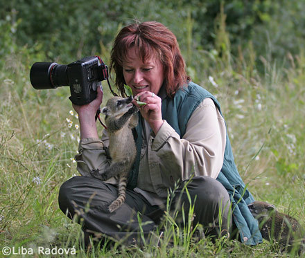 어떤 동물 사진작가의 친화력._1.jpg