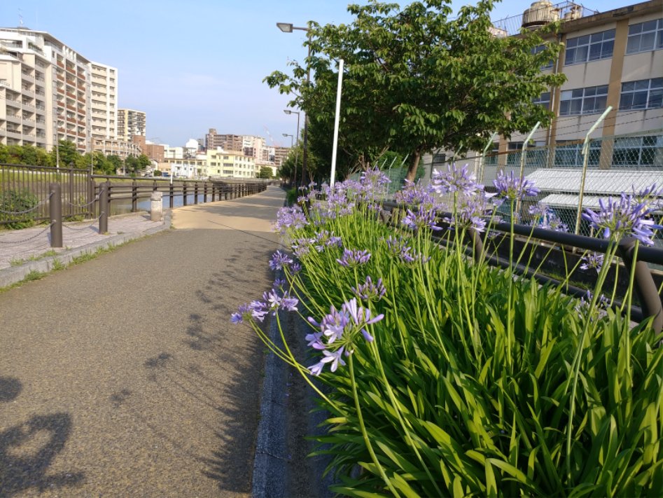 후쿠오카 + 자전거 + 가성비 여행 (2일차-6/22)_51.jpg