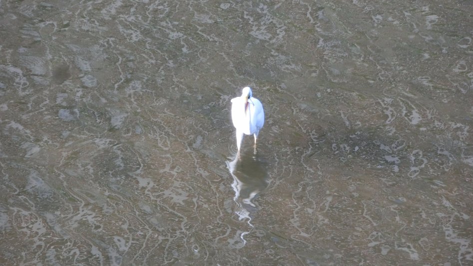 후쿠오카 + 자전거 + 가성비 여행 (2일차-6/22)_54.jpg