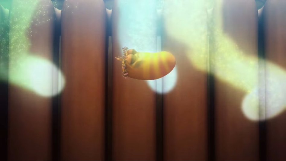 [Official] Mayfly - Mini Series from Animation LARVA.webm_000431.684.jpg