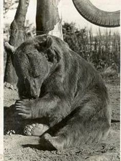 역사상 가장 모범적인 탄약병 . jpg_1.jpg