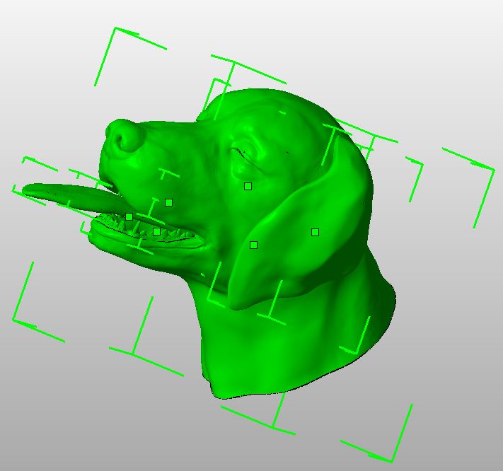 3D프린팅 동물 수술의료모형 제작기_1.jpg