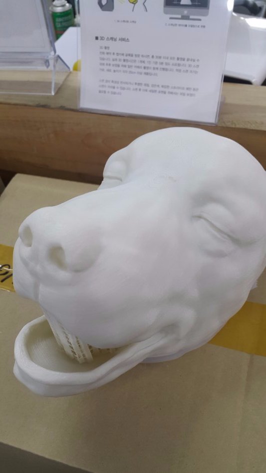 3D프린팅 동물 수술의료모형 제작기_5.jpg