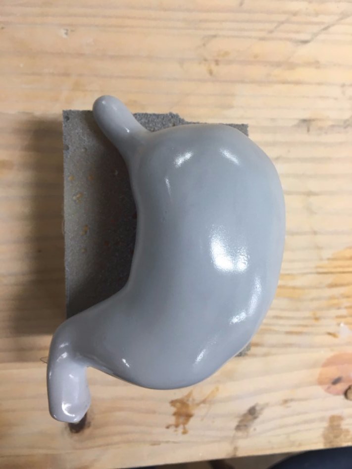 3D프린팅 동물 수술의료모형 제작기_14.jpg