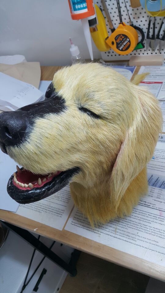 3D프린팅 동물 수술의료모형 제작기_29.jpg