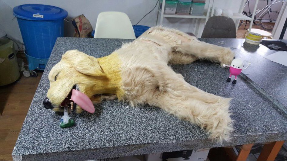 3D프린팅 동물 수술의료모형 제작기_33.jpg
