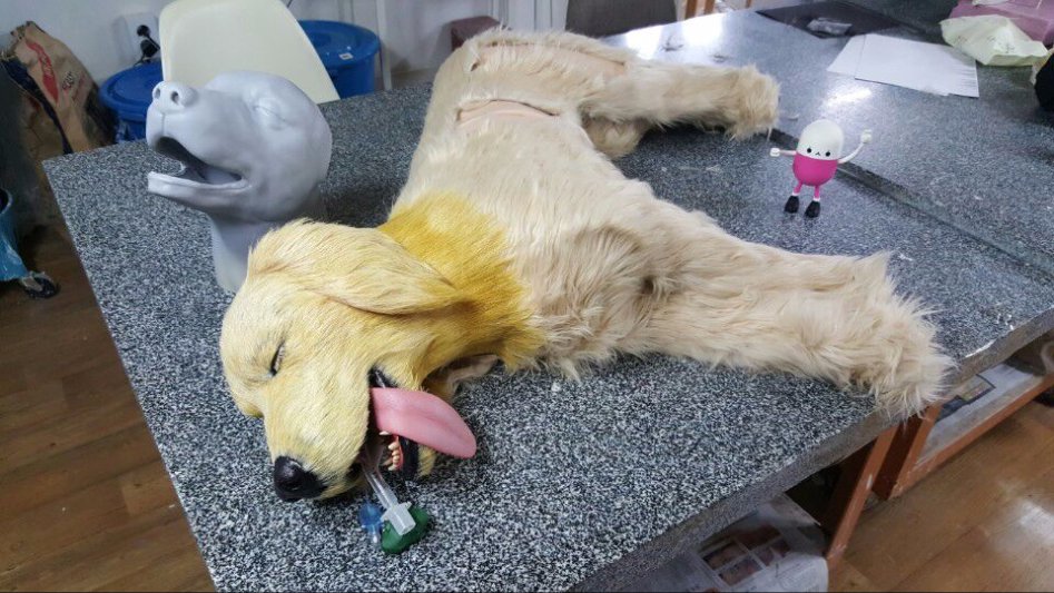 3D프린팅 동물 수술의료모형 제작기_41.jpg