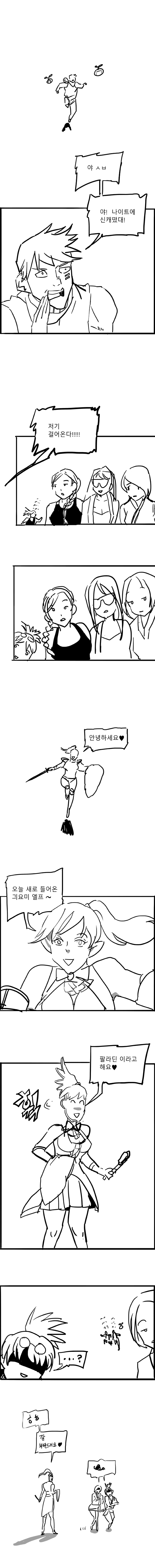 팔라딘쨔응.jpg