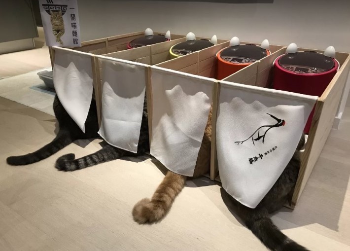 요즘 유행하는 1인용 식당 jpg_1.jpg