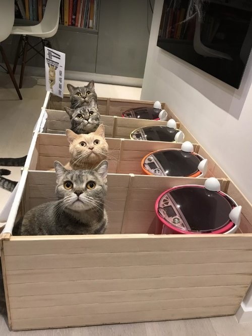 요즘 유행하는 1인용 식당 jpg_3.jpg