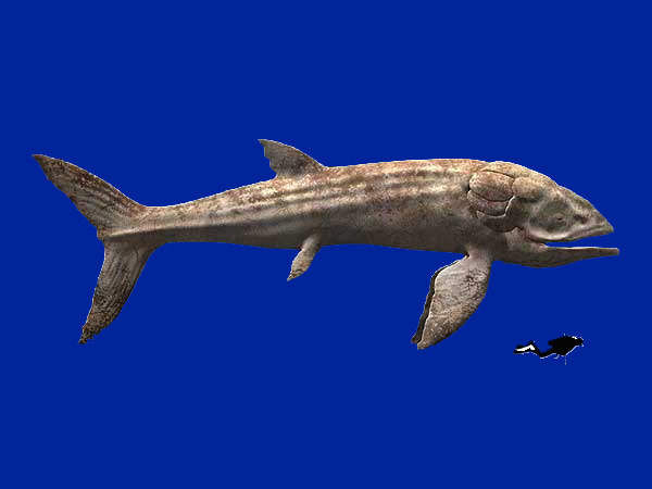 지구 역사상 가장 거대했던 어류 리드시크티스 (Leedssichthys)2.jpg