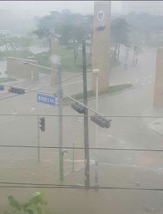 청주시 하루전 트위터_2.jpg