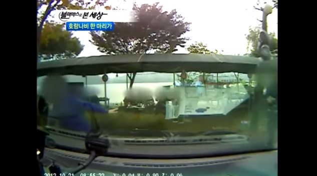 사회초년생의 개쩌는 장기자랑._2.jpg