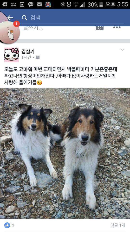 (진짜극혐주의) 수간러들이 극혐인 이유_5.jpg