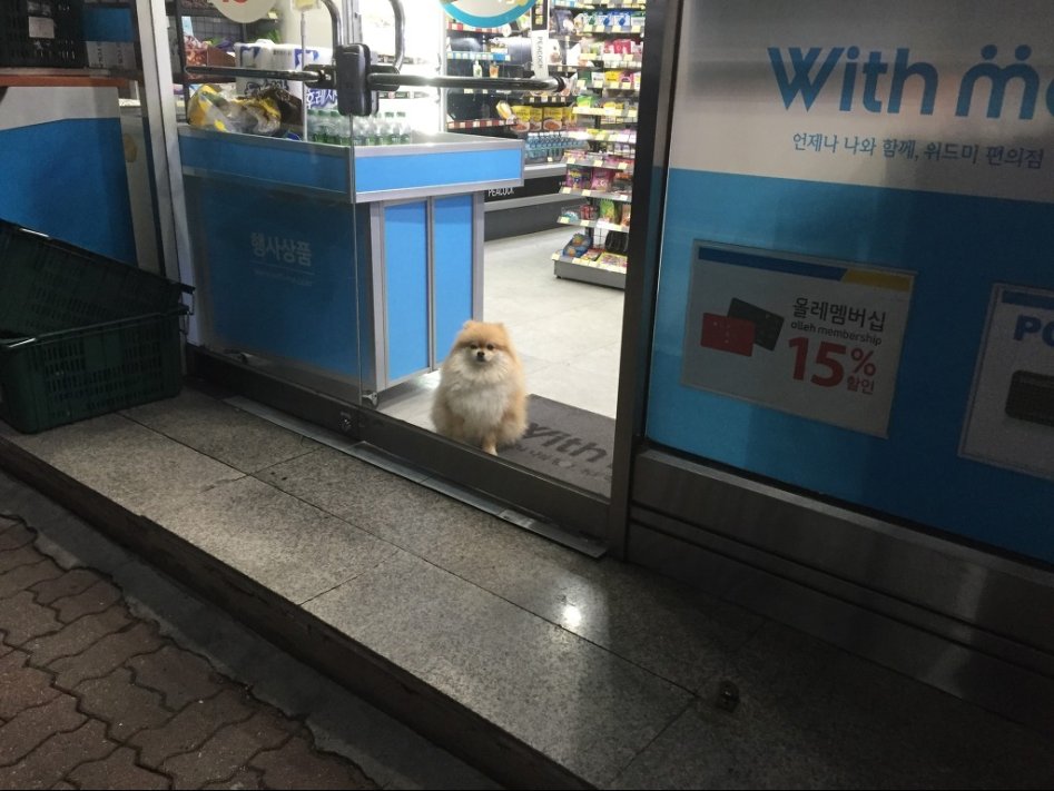편의점을 갔는데 문지기가 있다_1.jpg