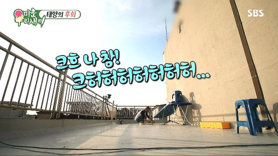 태양열로 끓이는 라면의 맛.jpg_22.png