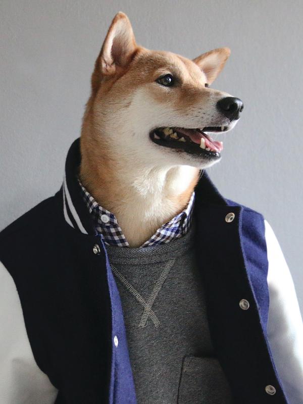 견빈근황_3.jpg