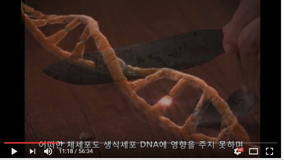 진화론을 믿을 수 없는 이유._8.jpg