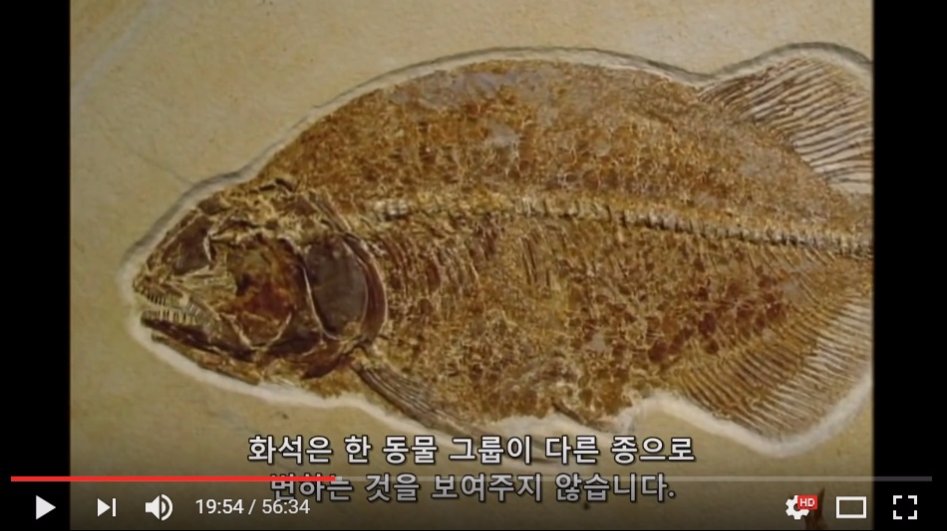 진화론을 믿을 수 없는 이유._15.jpg