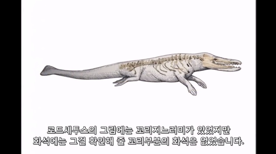 진화론을 믿을 수 없는 이유._14.jpg