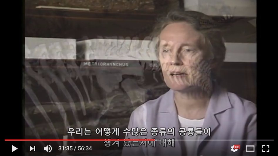 진화론을 믿을 수 없는 이유._18.jpg