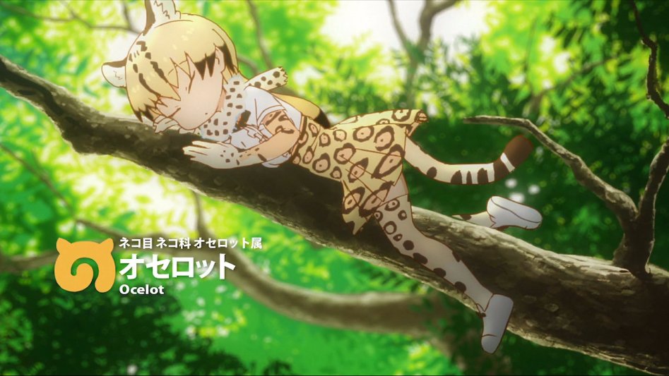 [모에-Raws] Kemono Friends #02 (TX 1280x720 x264 AAC).mp4_20170816_180951.709.jpg