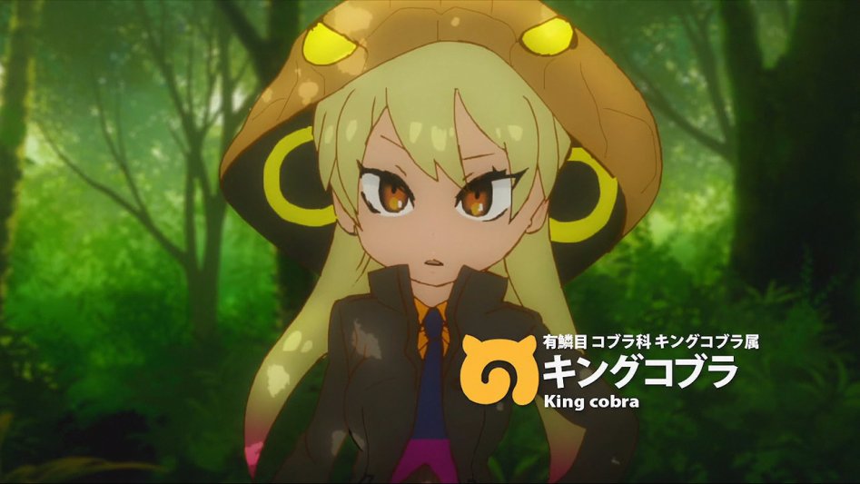 [모에-Raws] Kemono Friends #02 (TX 1280x720 x264 AAC).mp4_20170816_181300.595.jpg