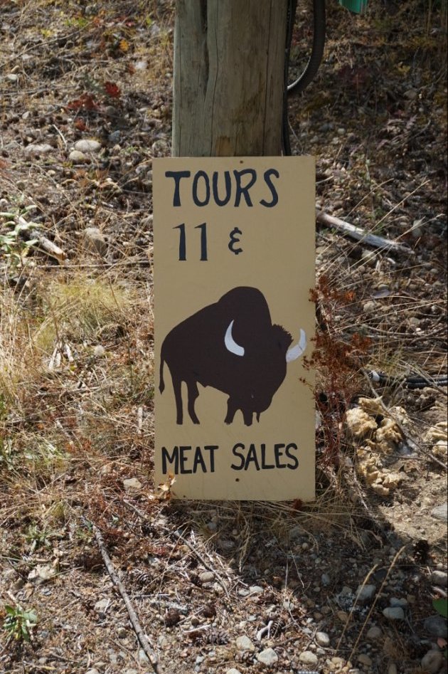 아메리카들소 스테이크_3.jpg