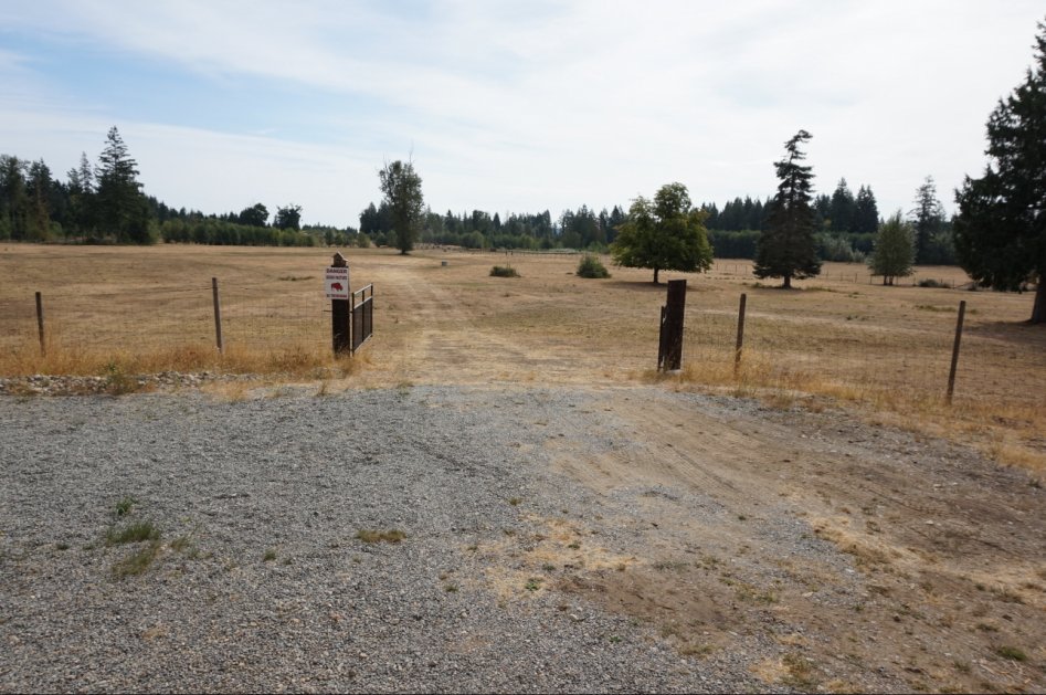 아메리카들소 스테이크_6.jpg