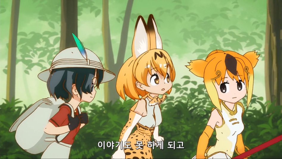 [모에-Raws] Kemono Friends #11 (TVA 1280x720 x264 AAC).mp4_20170822_211807.069.jpg