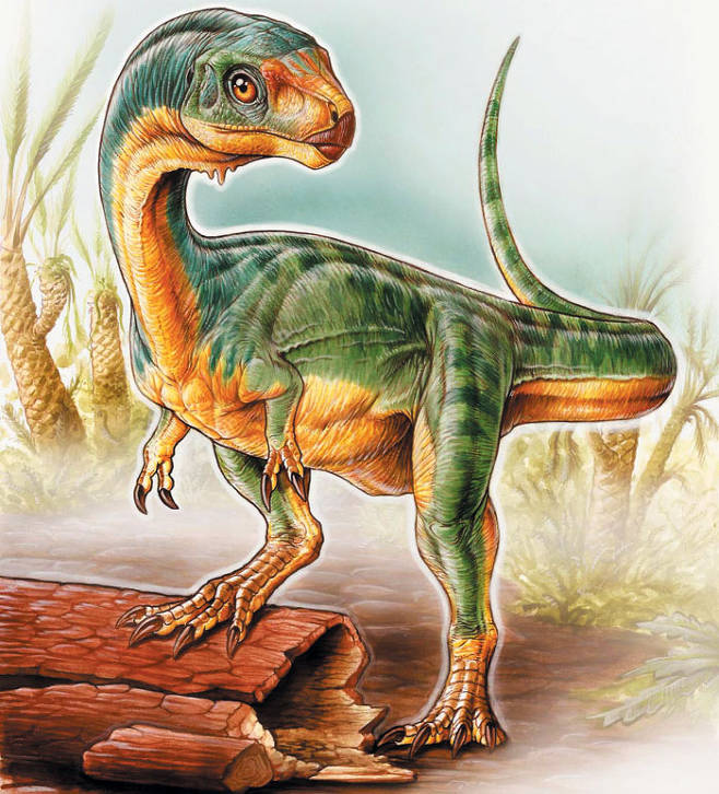 최근 공룡 분류 체계에 혼란을 주고 있는 ‘칠레사우루스 디에고수아레지’ 상상도. 육식·초식 공룡의 특성을 모두 가지고 있다. 로열온타리오박물관 제공.jpg