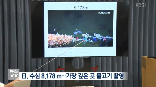 수심 8,178m에서 심해어 촬영 성공한 일본7.png