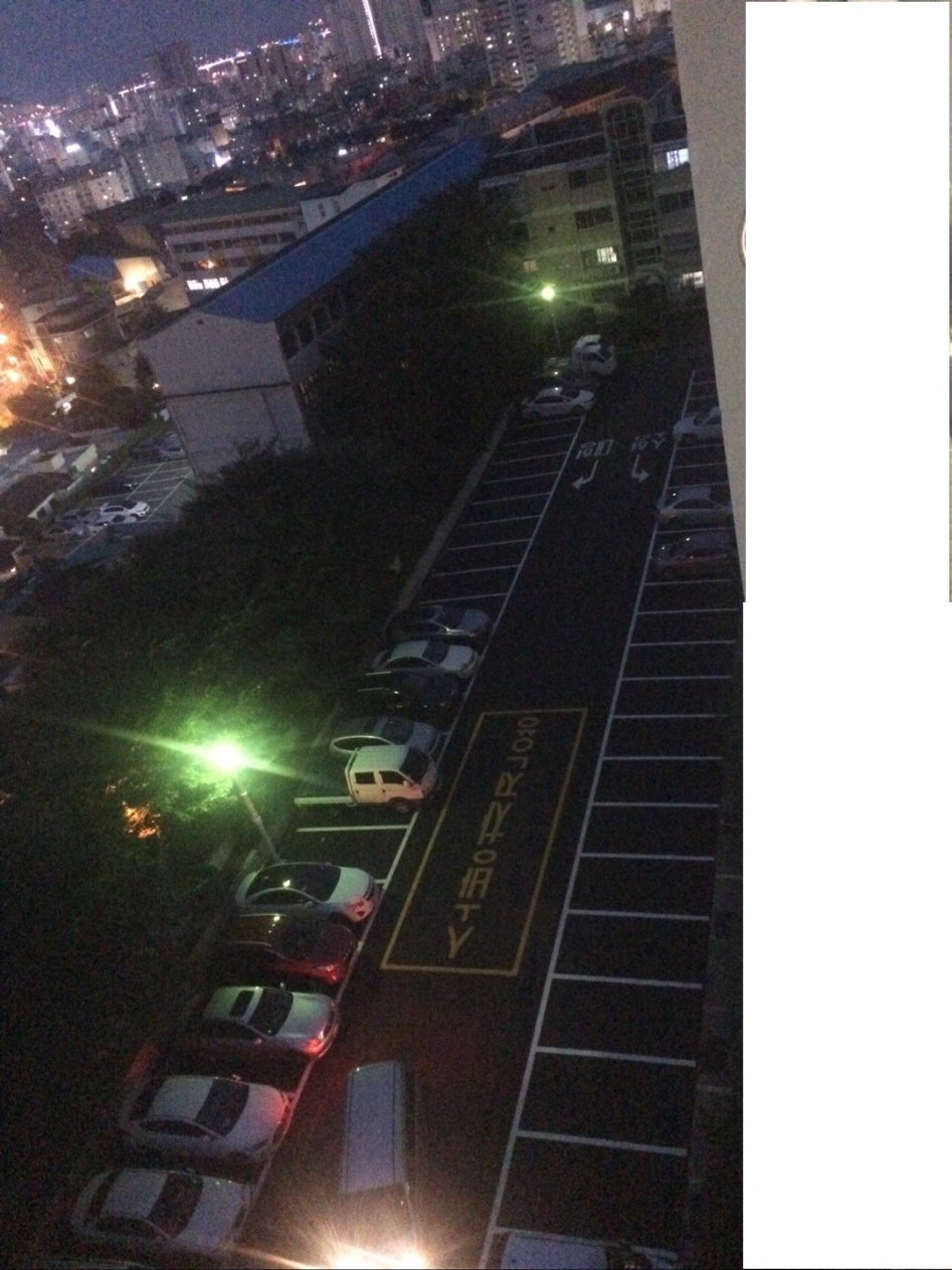 장애인 주차 구역 정의구현_5.jpg