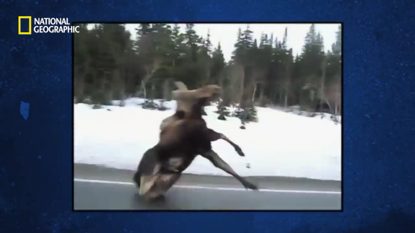 각본가의 애드리브.jpg_3.png