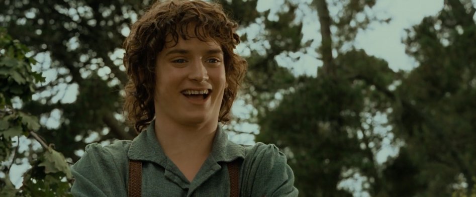 영화반지의 제왕 찍고 10년뒤 호빗찍을때 배우들외모_1.png