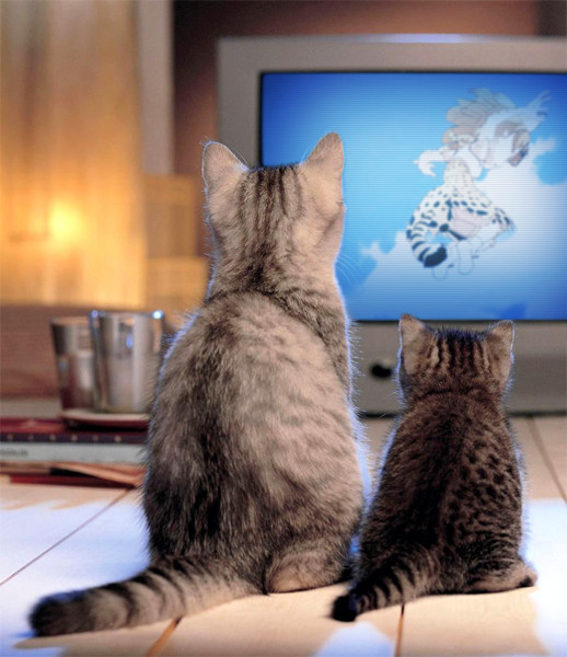 아빠, 저 누나 너무 이뿌다 하아하아..._1.jpg