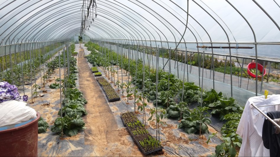 도심에서 즐기는 전원생활_4.jpg