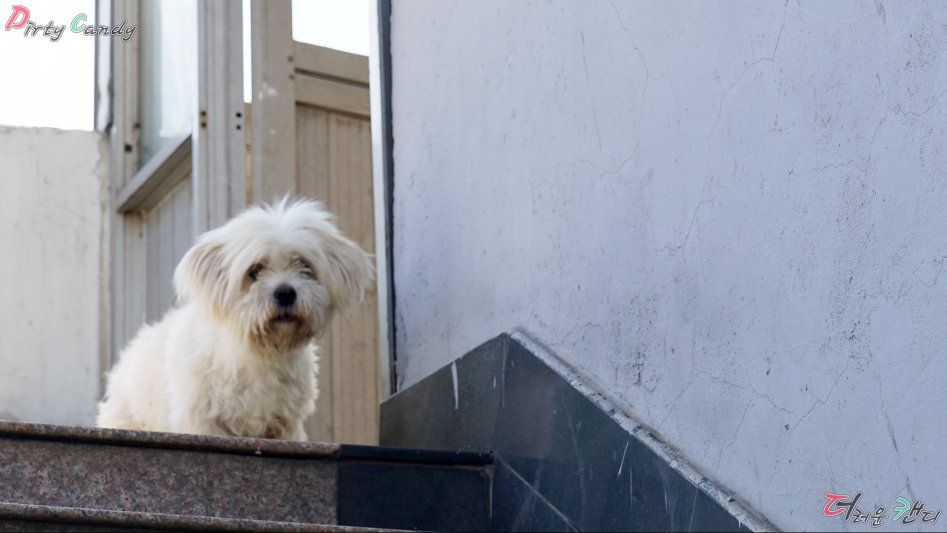 2017년 07월 10~14일 중국 난징 출장 (※스압/데이터)_49.jpg