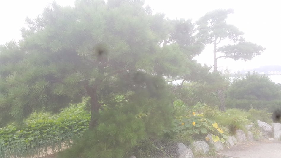 우리집 동물 및 농사생활입니다 (스압)_9.jpg