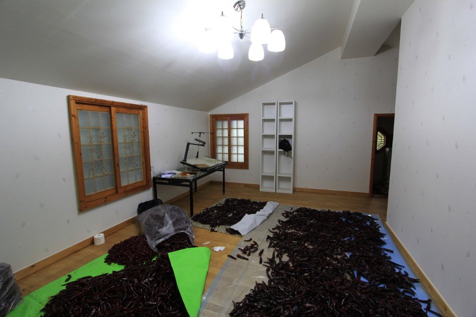 아버지의 꿈(스압)_99.jpg