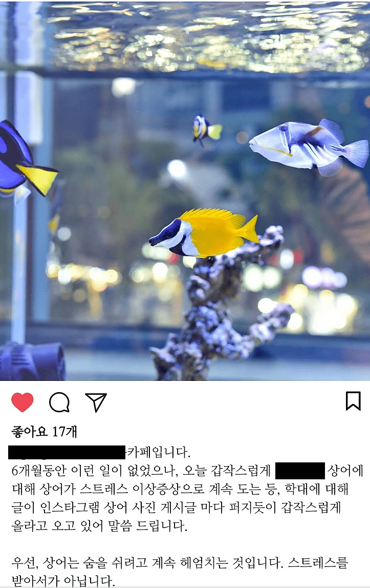 홍대의 이색카페 평판을 떨어뜨리는 암덩어리들 . jpg_4.png
