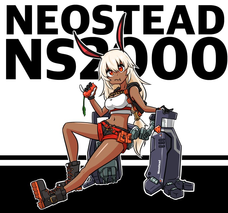 NS2000.png